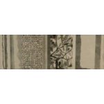 الگانس- سرامیک الگانس قهوه ای -کاشی پژواک - تصویر 6