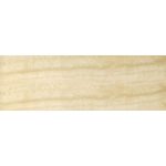 سارینا Sarina- کاشی سارینا مدل کارشده - کاشی بالسین Balsin Tile - تصویر 3