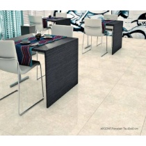 نمونه کار شده سرامیک پرسلان آرگونیت-80*80 - شرکت کاشی پارس PARS TILE