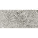 Alpi Polished Grey 9103 - سرامیک آلپی گری پولیش 60x120 - سرامیک میکل آنجلو - تصویر 2