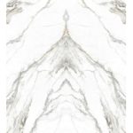 عرباسکاتو Arabscato- سرامیک اسلب عربسکاتو بژ پولیش مدل کارشده 120x240- کاشی هرمس سرام نوین - تصویر 5