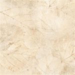 رومئو Romeo - سرامیک رومئو کرم مات 30x30 - سینا کاشی - تصویر 2