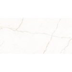 7764 santana gold - سرامیک سانتانا طلایی پولیش مدل کارشده 60x120 - کاشی میلان - تصویر 5