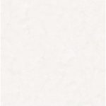 اسکاوو Scavo - سرامیک اسکاوو کرم مدل کار شده - کاشی بالسین Balsin Tile - تصویر 5