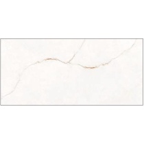 دلوین Delvin - سرامیک دلوین استخوانی 60x120 - کاشی پارس
