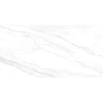 9555 Geraldine Silver - سرامیک گرالدین سیلور پولیش 60x120 - کاشی میلان - تصویر 4