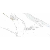 golden_marble_white_1984229698.jpg Golden Marble White - سرامیک گلدن ماربل سفید پولیش 60x120- سرامیک راک - تصویر 1