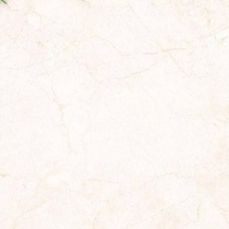 بارسا Barsa - سرامیک بارسا براق 60x60 - کاشی روناس RONAS TILE