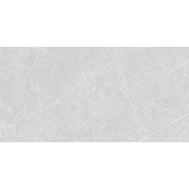 سیلوستون Silvstone - سرامیک سیلوستون دکور 100*50 - شرکت کاشی برلیان