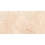ترست Trust - سرامیک ترست طوسی 100*50 - شرکت کاشی برلیان - تصویر 3