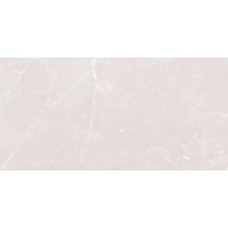 nachral_light_gray.jpg نچرال Natural - سرامیک نچرال طوسی روشن پولیش 60x120 - سینا کاشی SINA TILE - تصویر 1