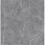پتریس Petris- سرامیک پتریس طوسی روشن 60x60- کاشی نگین میبد - تصویر 6