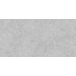 اورینت Orient - سرامیک اورینت طوسی روشن مات مدل کارشده 60x120 - کاشی رالس - تصویر 5