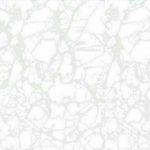 گل یخ Gole yakh - سرامیک گل یخ نیمه مات 2525 - شرکت کاشی نیلوفر - تصویر 3