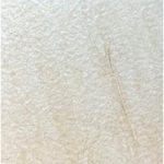 رامان Raman - سرامیک رامان کرم رستیک 45x45 - آپادانا سرام - تصویر 4