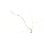 7518 Ranis - سرامیک رانیس پولیش 80x80 - کاشی میلان - تصویر 2