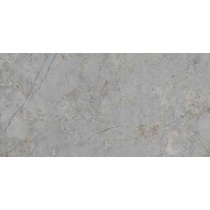 پاتریس Patris - سرامیک پاتریس طوسی روشن پولیش 60x120 - کاشی میلان