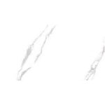 روبن Roben - سرامیک روبن نانو پولیش مدل کارشده 60x120 - کاشی مایسا Maysa - تصویر 3