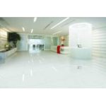 ساویس- سرامیک ساویس استخوانی- کاشی بالسین شرکت کاشی الوند-Balsin Tile - تصویر 2