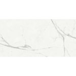 Statuario Venato FGPB-A5020 - سرامیک استاتوریو ونتو پولیش 120x240 - پما PMA - تصویر 6