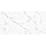 ونیز 6020 Venice - سرامیک اسلب کالر بادی ونیز 150x300 - پالرمو پلاس - تصویر 5