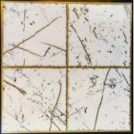 کایان Kayan - کاشی تک گل کوتینگ پولیش ساده کرم - کاشی آرتا سرام Arta Ceram - تصویر 4