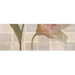آنتیره Antire - سرامیک آنتیره طوسی روشن مات 2525 - کاشی بست تایل Best Tile - تصویر 2