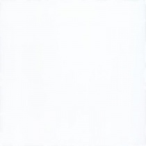 بیانکو Bianco - سرامیک 3060 بیانکو سفید مات Spm 1020 - پارما Parma