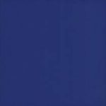 اوشن Ocean - کاشی استخری اوشن 1164 - کاشی مرجان Marjan Tile - تصویر 2